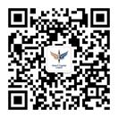 耀彩网 Vision Plus Capital